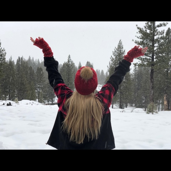 Meet your Posher, Coco - Picture 4 of 4